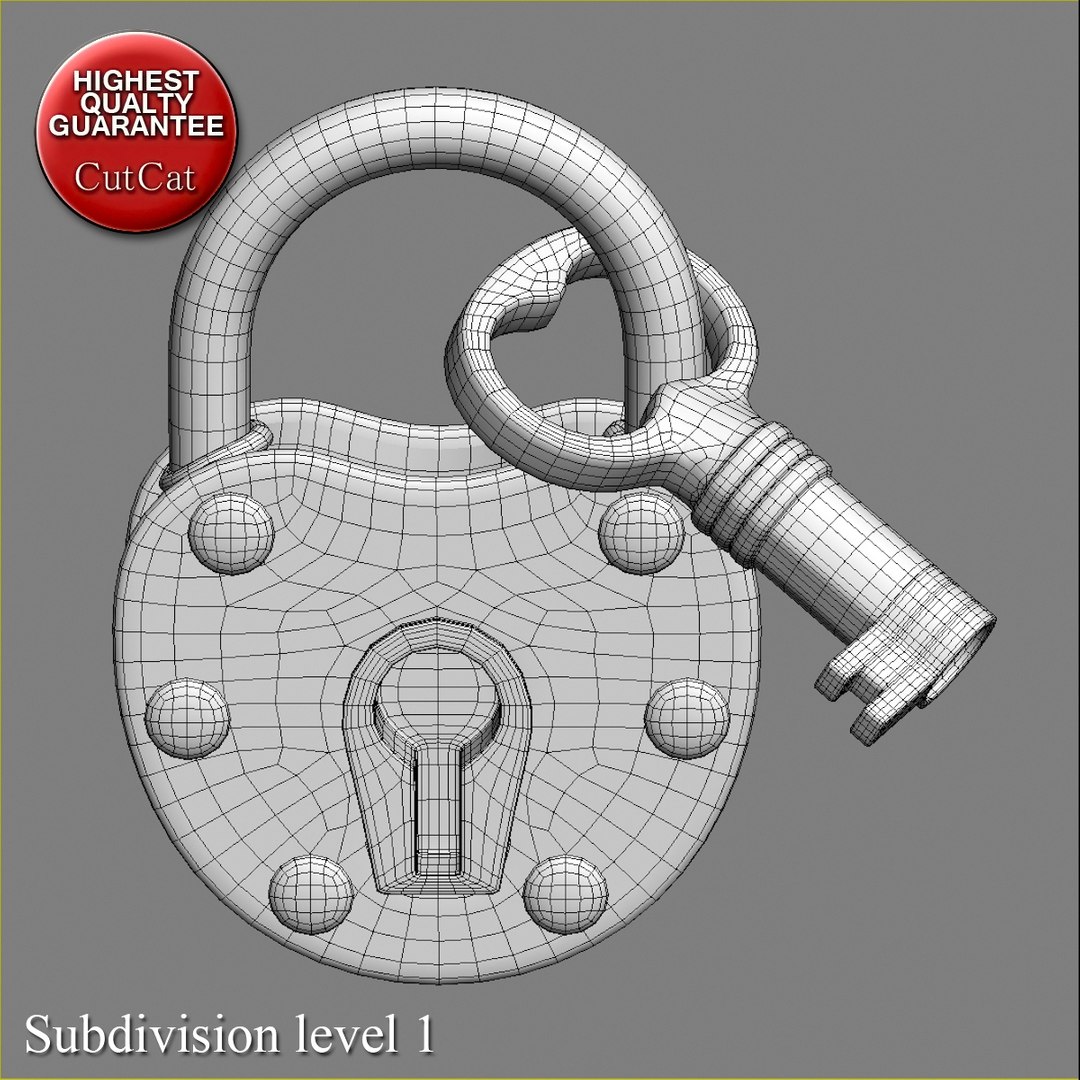 max lock padlock