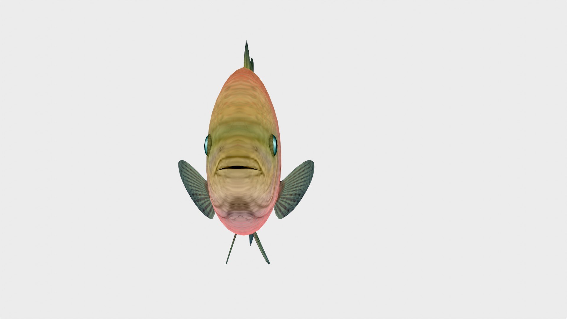 3D Redhead Cichlid Fish 3D Model Low Poly - TurboSquid 2242736