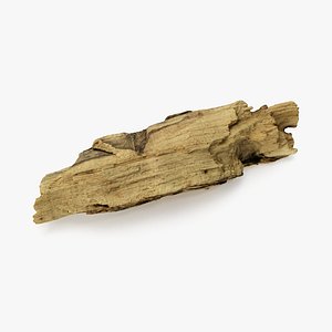 driftwood wood 3D model