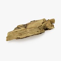 Driftwood 07