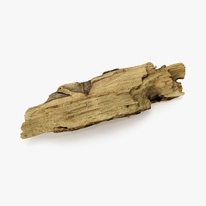 Driftwood 07