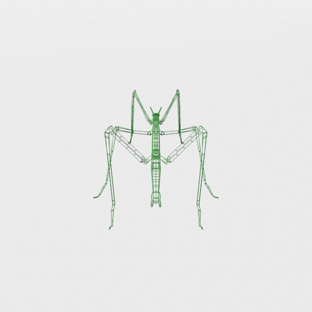 3D stick insect model - TurboSquid 1334212
