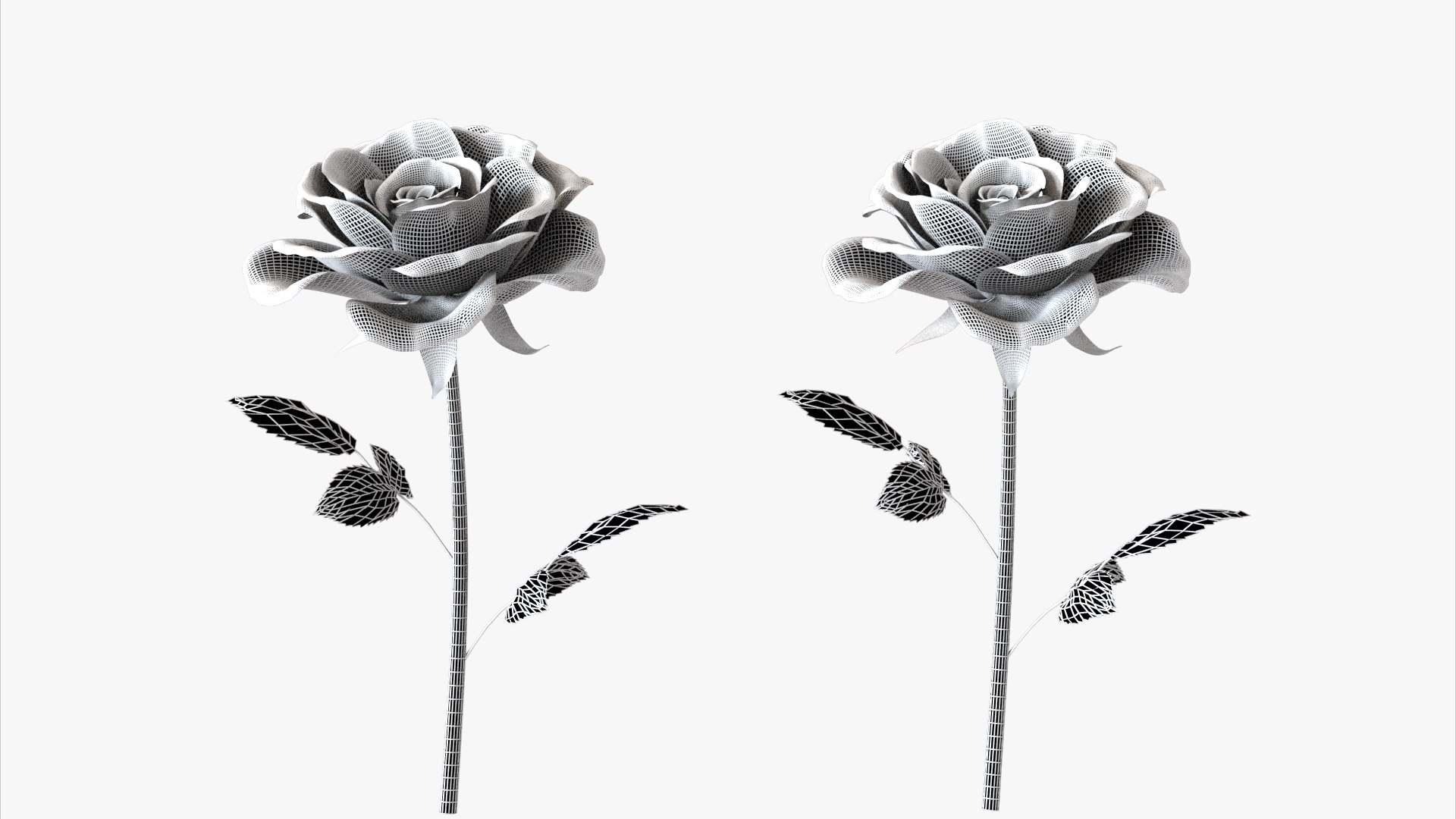 3D roses bloom model https://p.turbosquid.com/ts-thumb/qg/fSKcJX/JZ/flowerxk247_006/jpg/1684377291/1920x1080/fit_q87/e3a065753cb8e1326c245f7b89a71f8ce94f3e7e/flowerxk247_006.jpg