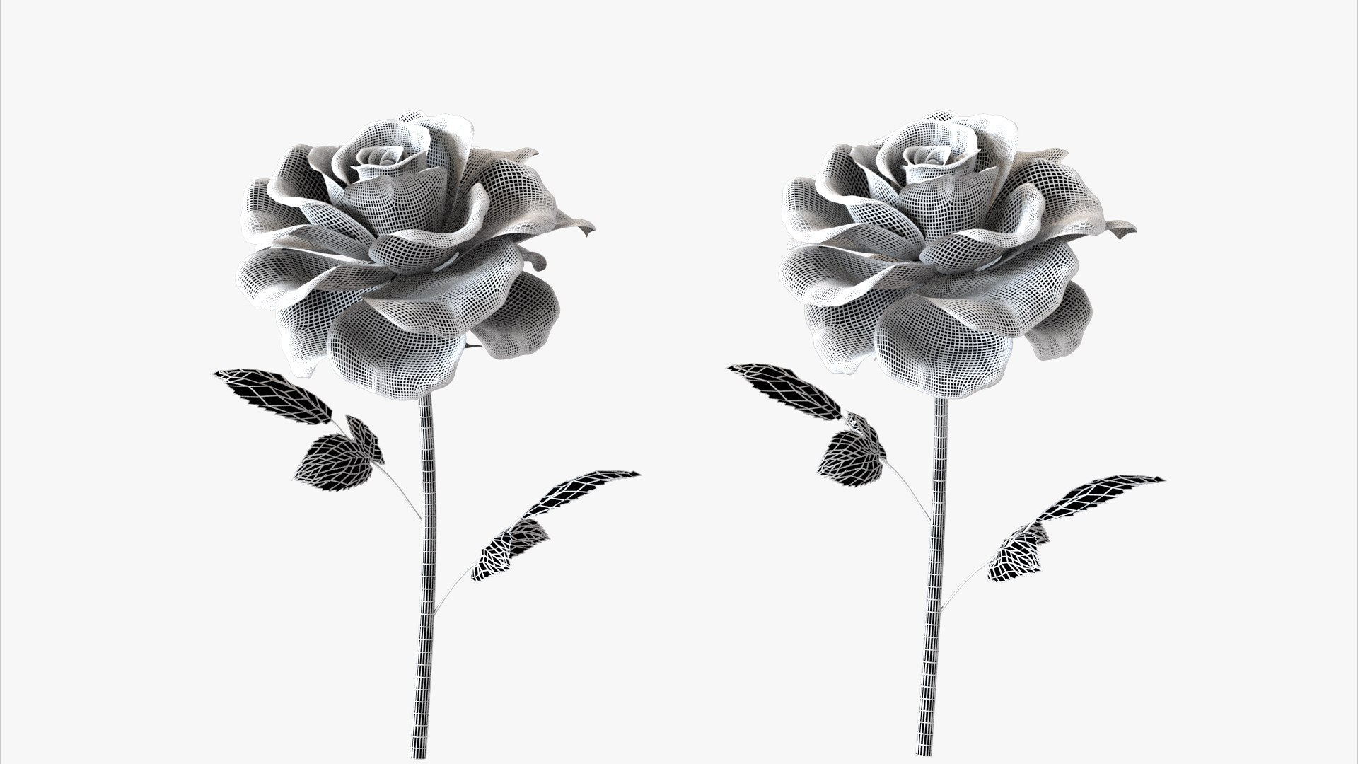 3D Roses Bloom Model TurboSquid 2071473