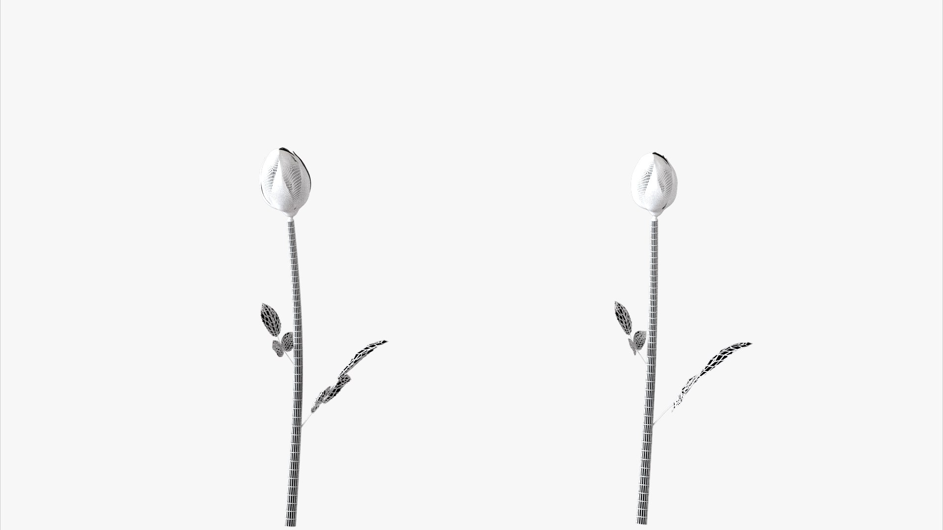 3D roses bloom model https://p.turbosquid.com/ts-thumb/qg/fSKcJX/UN/flowerxk247_003/jpg/1684377287/1920x1080/fit_q87/8aa21677ec95f6047681b63508fed76d433332b8/flowerxk247_003.jpg