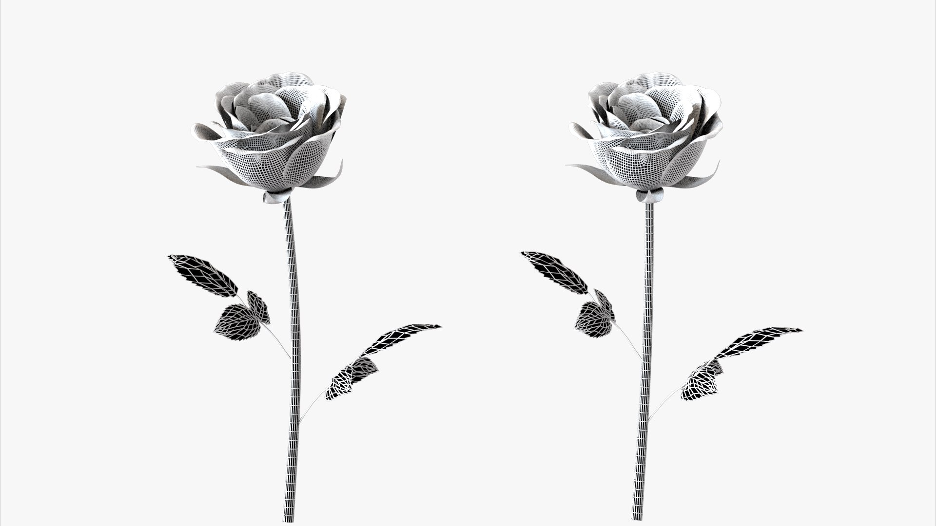 3D roses bloom model https://p.turbosquid.com/ts-thumb/qg/fSKcJX/V5/flowerxk247_005/jpg/1684377290/1920x1080/fit_q87/b8e21cda53c4669eddcee81a372a6998c2a787cd/flowerxk247_005.jpg