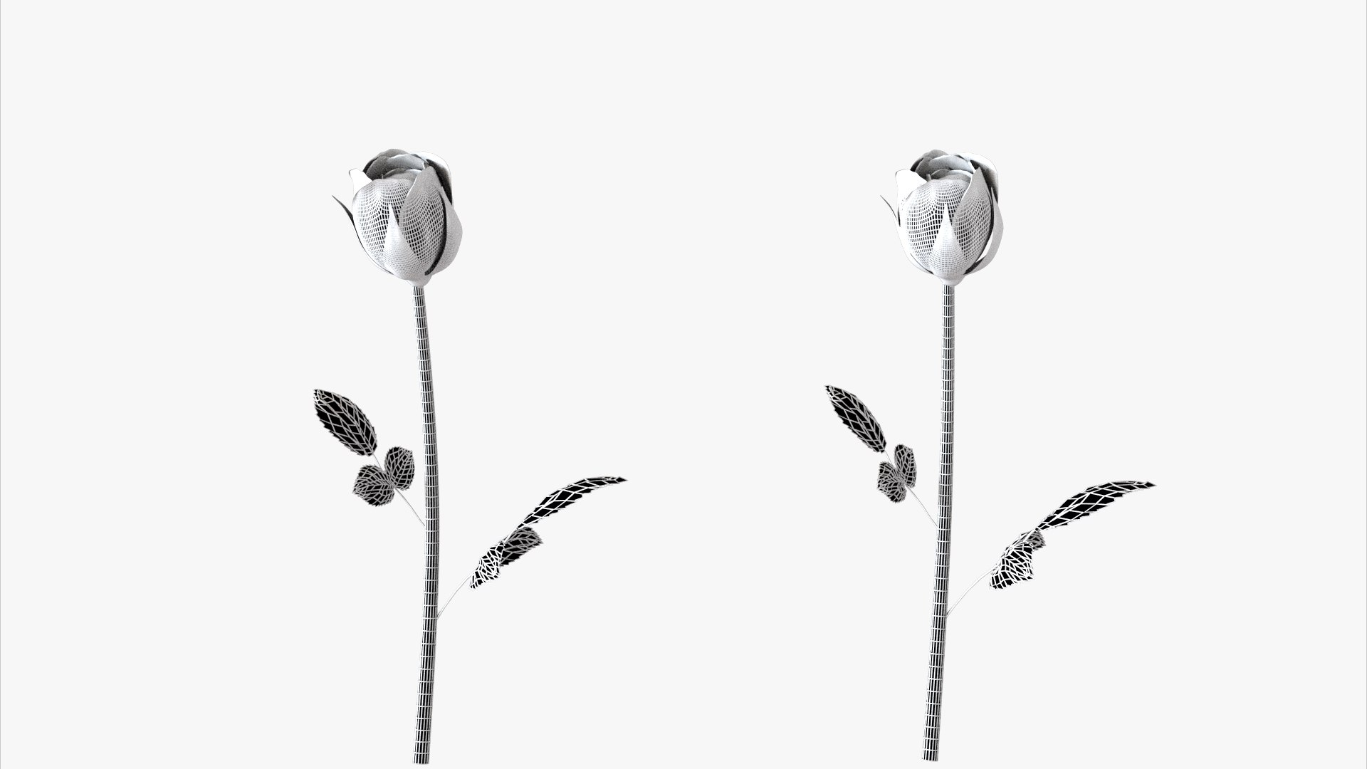 3D roses bloom model https://p.turbosquid.com/ts-thumb/qg/fSKcJX/oP/flowerxk247_004/jpg/1684377288/1920x1080/fit_q87/cfcc787e2502b23bf58ff02c69744e24cdcd20d0/flowerxk247_004.jpg