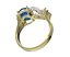 Ring  109