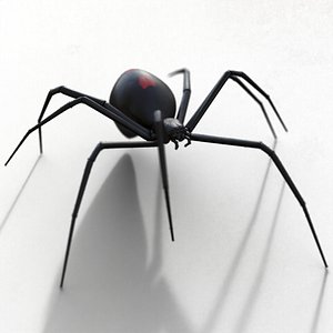 Black widow model