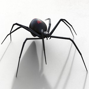 Black widow