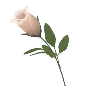 rose flower 3d max