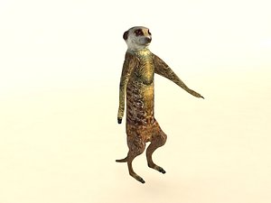3D model suricate meerkat