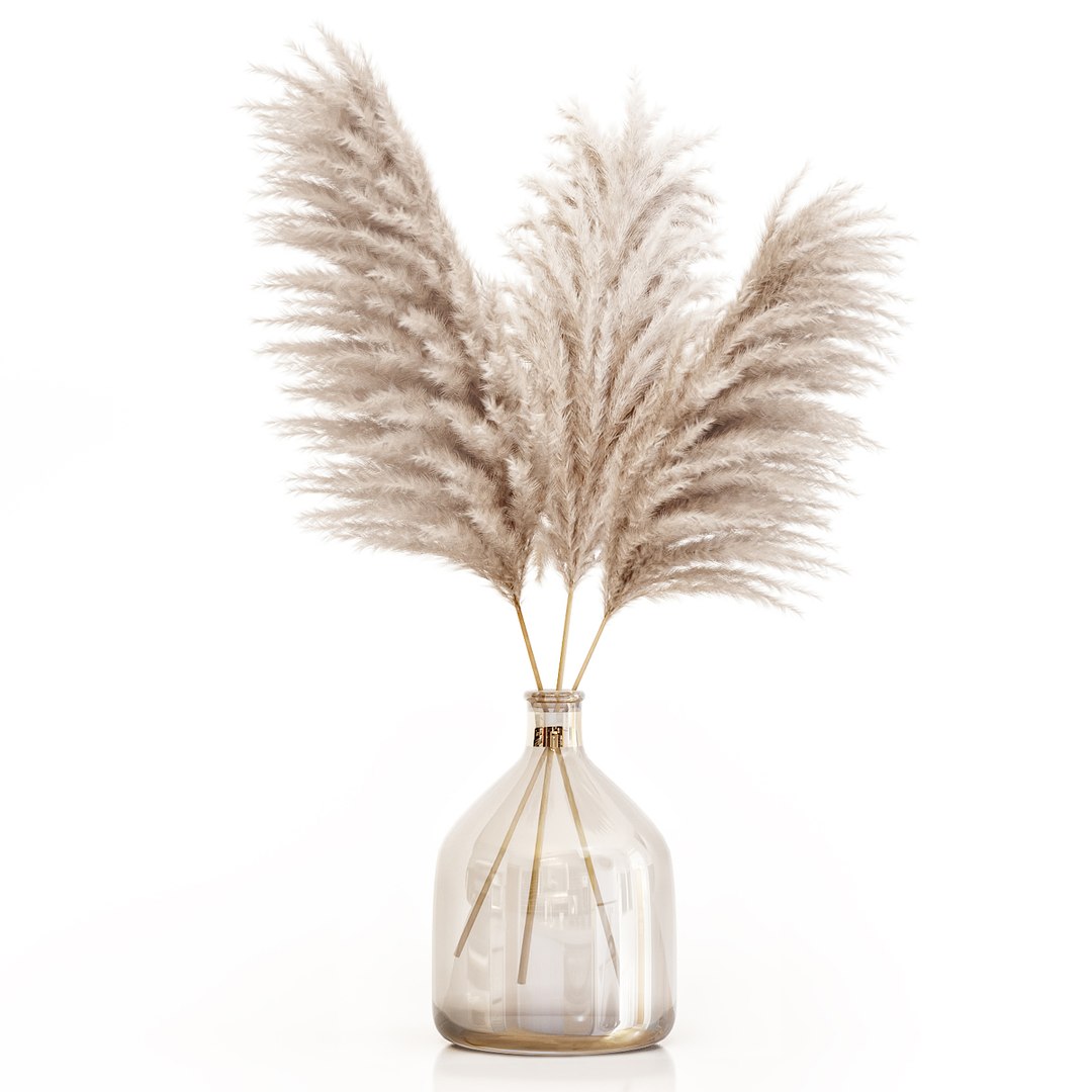 3D Dried Flower Pampas Grass - TurboSquid 1662280