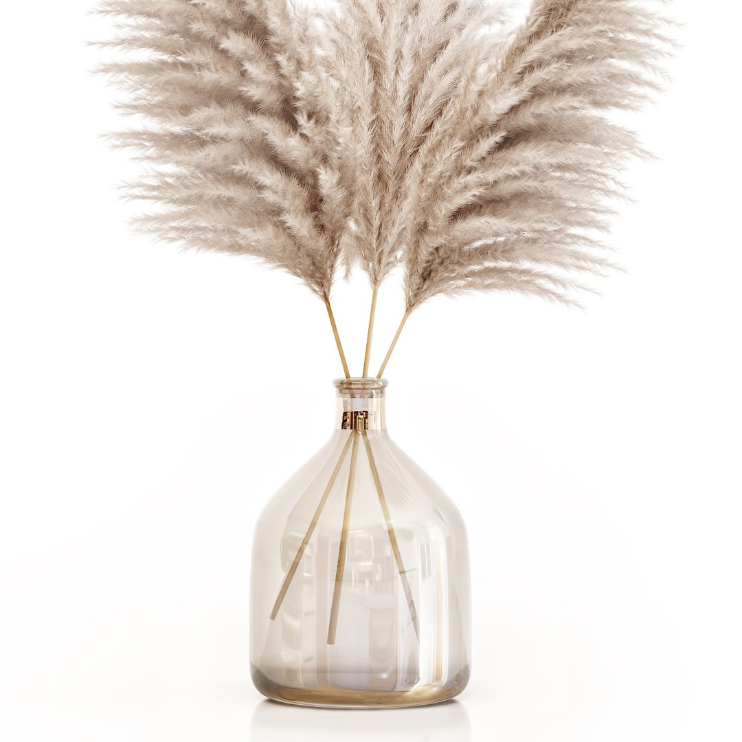 3D Dried Flower Pampas Grass - TurboSquid 1662280