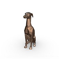 Italian Greyhound
