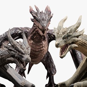 3D Dragon Wyvern Pack Animated model