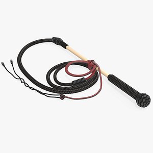 3D Leather Bullwhip Coiled Black Rigged model