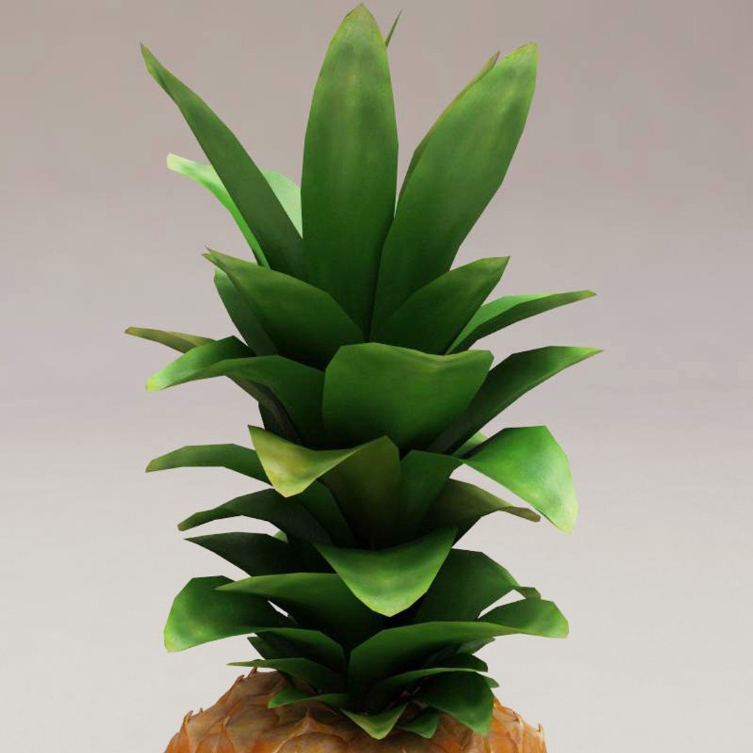 fruits v2 3ds https://p.turbosquid.com/ts-thumb/qh/hSGwaW/EQOxQncS/fruits_collection_v2_84/jpg/1260303036/1920x1080/fit_q87/da7f548f0b8d76692455b5f28436be78f60f6dbf/fruits_collection_v2_84.jpg