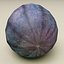 과일 컬렉션 V2