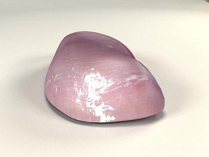 3d model realistic turkey