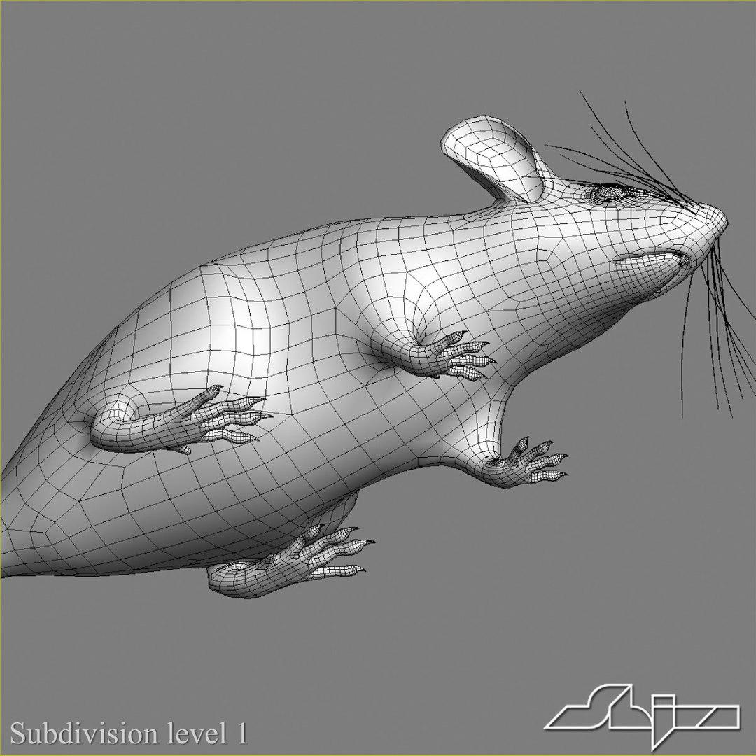 Little Mouse 2 3d 3ds