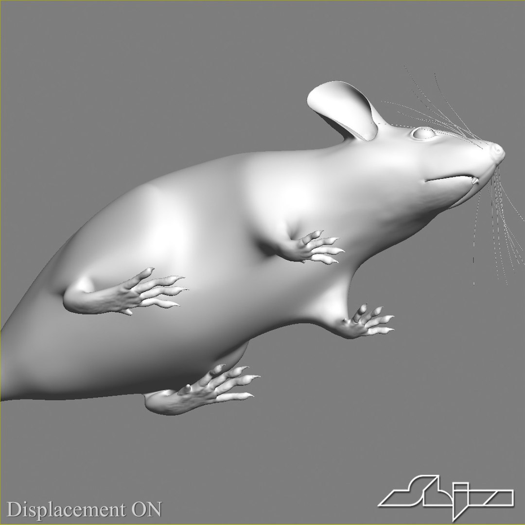 Little Mouse 2 3d 3ds