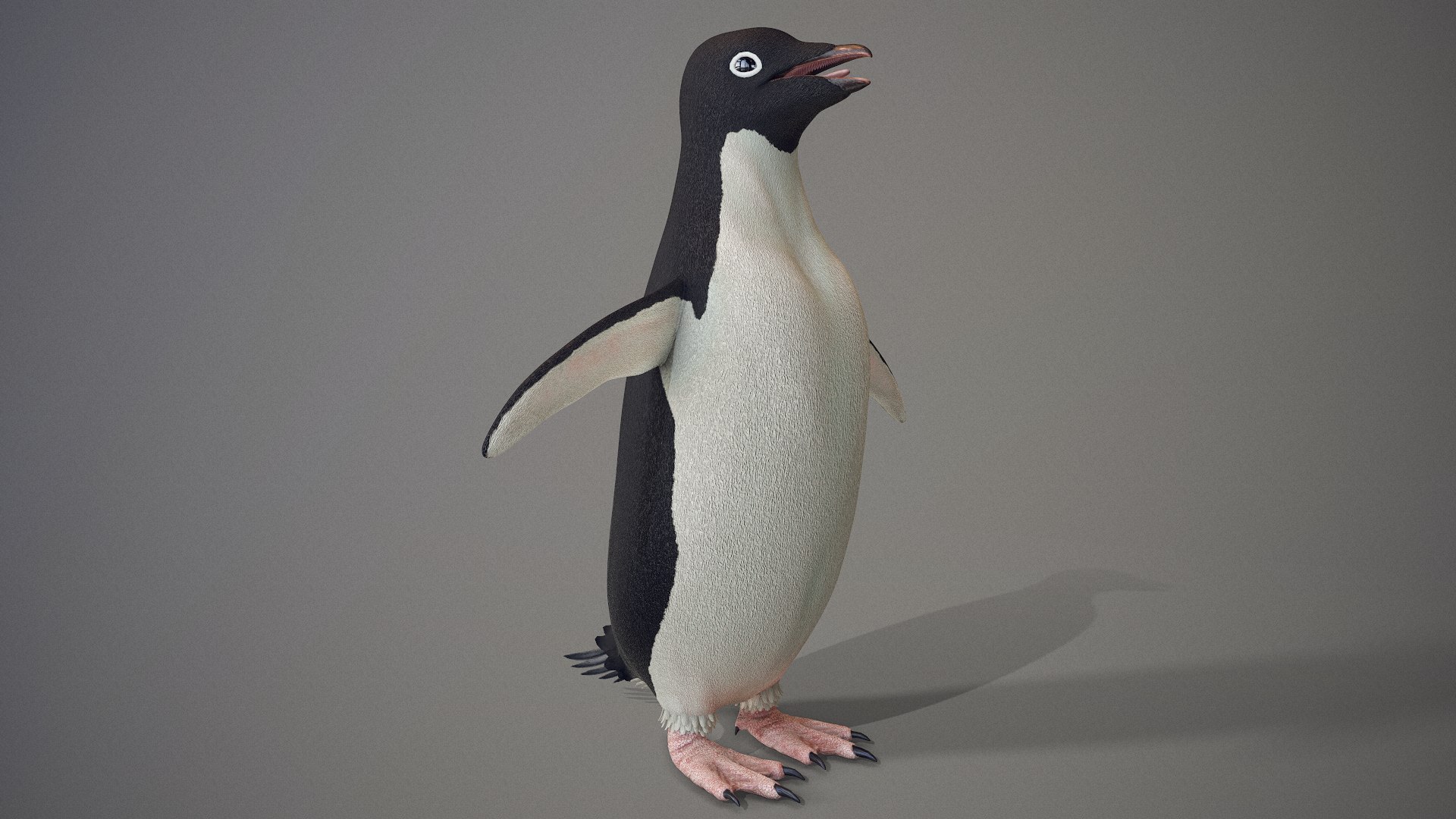 adelie penguin t-posed 3D model https://p.turbosquid.com/ts-thumb/qi/2vpH3n/07z8IUgX/screenshot011/png/1591119688/1920x1080/fit_q87/57d5f62aaddc2a84e5bc7a917c2c6e46c38cdb35/screenshot011.jpg