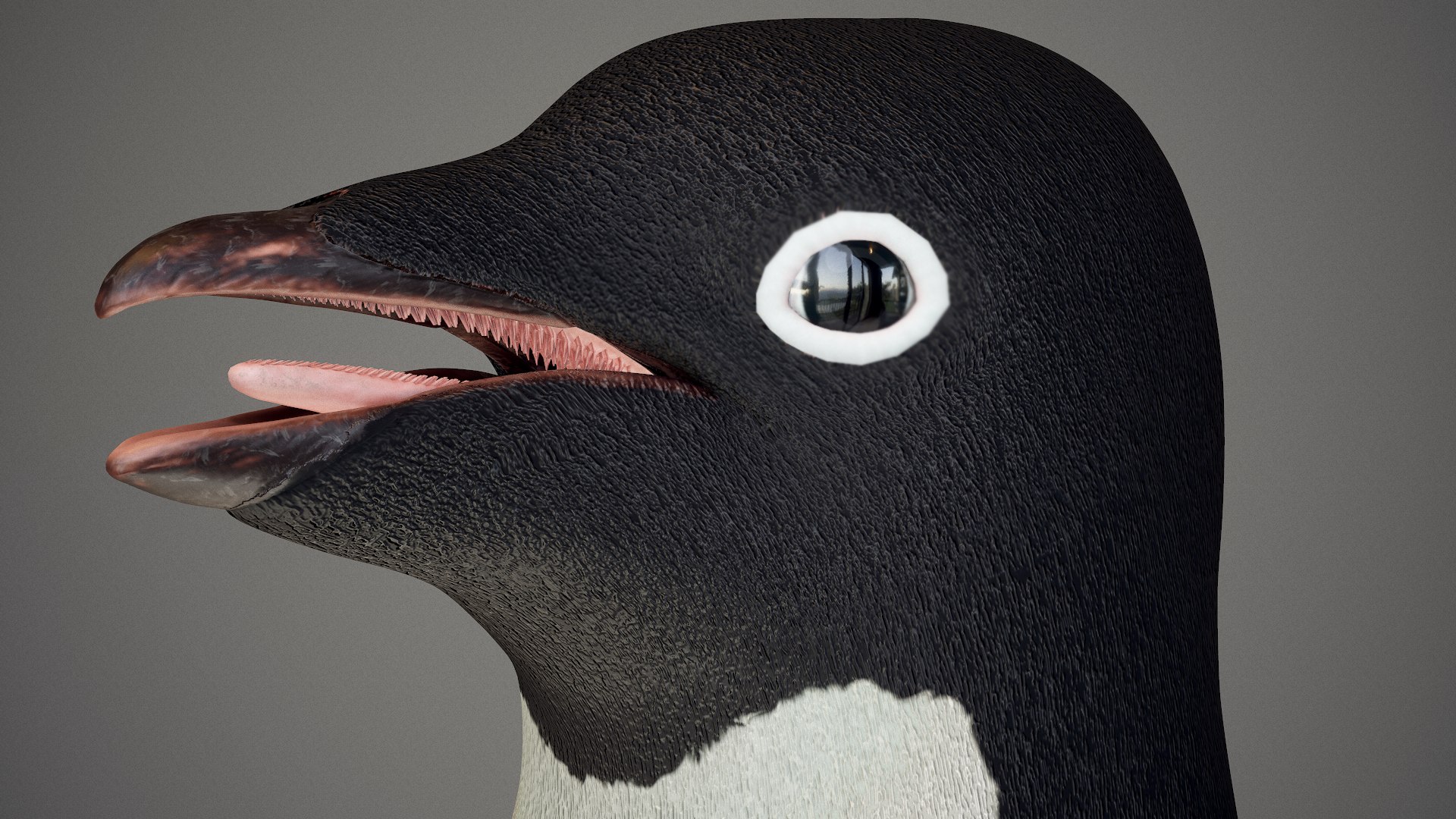 adelie penguin t-posed 3D model https://p.turbosquid.com/ts-thumb/qi/2vpH3n/2bm9ggRq/screenshot017/png/1591119712/1920x1080/fit_q87/c5d6a233eeed3794afdc8e4adc91685e6d9d3c1c/screenshot017.jpg