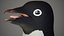 Adelie Penguin T-Pose