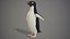 Adelie Penguin T-Pose