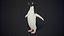 Adelie Penguin T-Pose