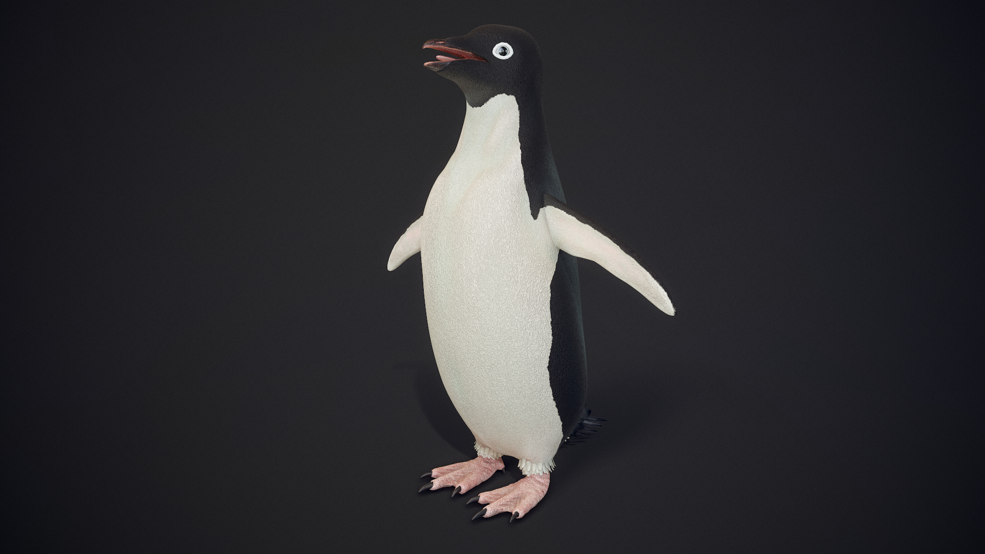 adelie penguin t-posed 3D model https://p.turbosquid.com/ts-thumb/qi/2vpH3n/MOONQ0Hk/00/png/1591119679/1920x1080/turn_fit_q99/c965d108a52a4a57bab7ac49227cb81b7d22193e/00-1.jpg