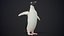Adelie Penguin T-Pose