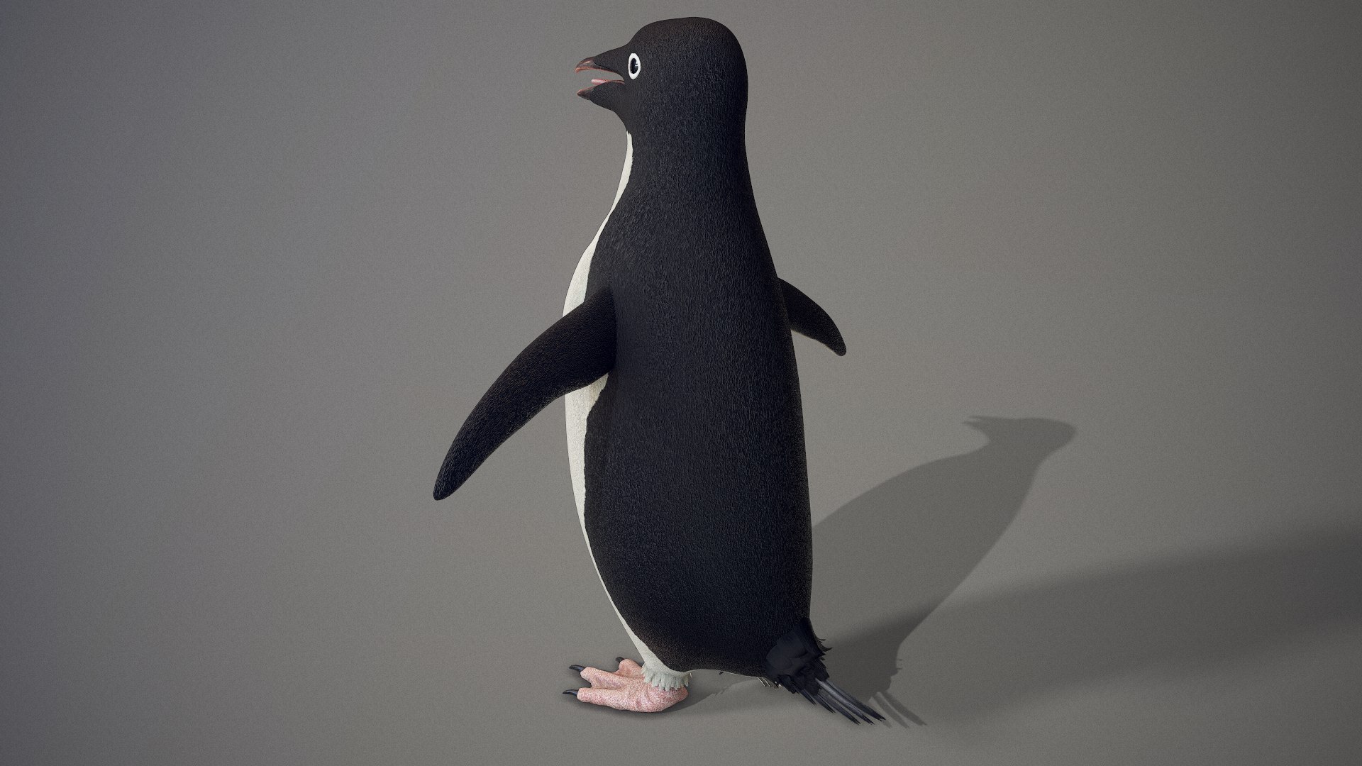adelie penguin t-posed 3D model https://p.turbosquid.com/ts-thumb/qi/2vpH3n/SDtH4lPv/screenshot013/png/1591119700/1920x1080/fit_q87/c551981782d1f984c6850fff0e36f50a4140567a/screenshot013.jpg