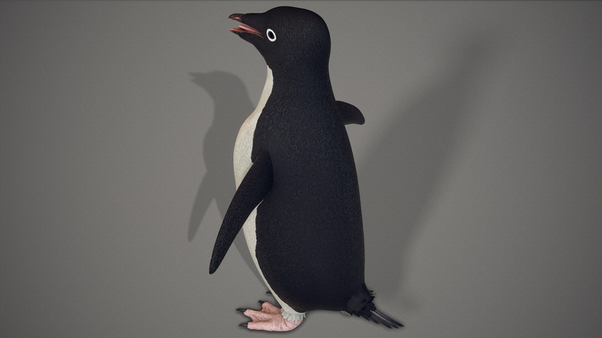 adelie penguin t-posed 3D model https://p.turbosquid.com/ts-thumb/qi/2vpH3n/VOdM9Hra/screenshot015/png/1591119702/1920x1080/fit_q87/ba99d0d5b9d4450dcb7926329a72f5cc01bedc9f/screenshot015.jpg
