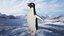 Adelie Penguin T-Pose