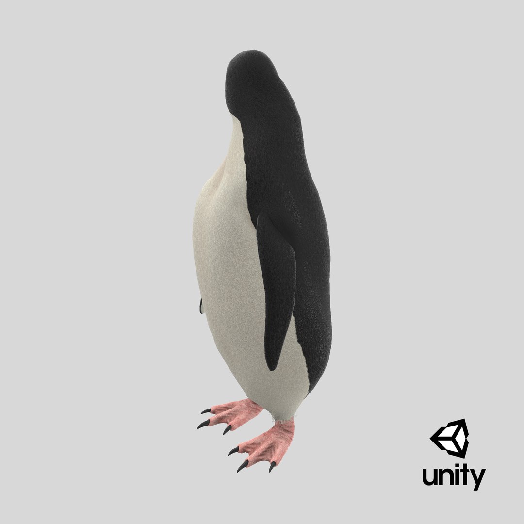 adelie penguin t-posed 3D model https://p.turbosquid.com/ts-thumb/qi/2vpH3n/hS/stemcell_unity_render/png/1727279607/1920x1080/fit_q87/9603c26906c7349b5172d823f401d8577f0adcde/stemcell_unity_render.jpg