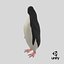 Adelie Penguin T-Pose