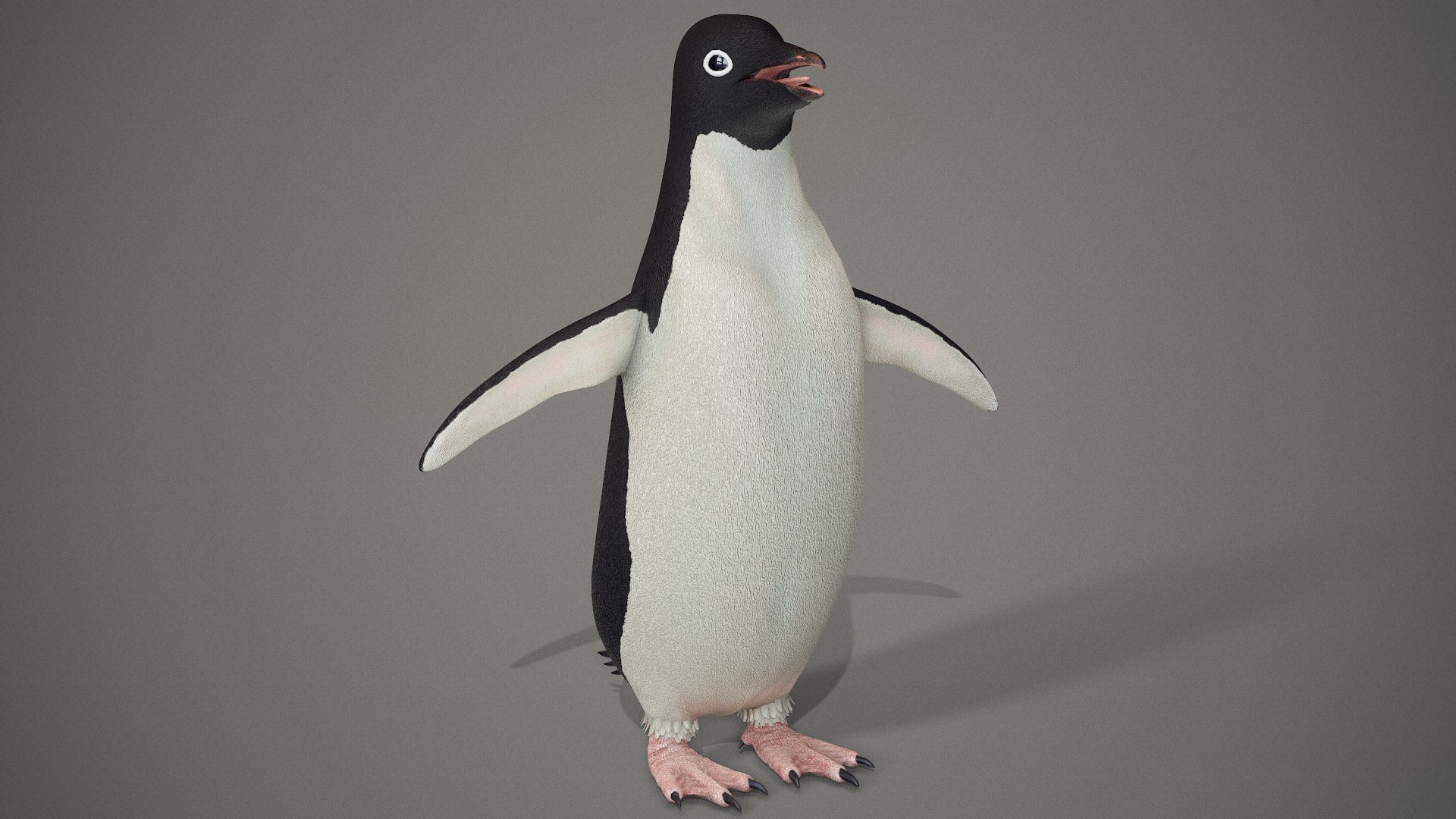 adelie penguin t-posed 3D model https://p.turbosquid.com/ts-thumb/qi/2vpH3n/jEOcdmpa/screenshot014/png/1591119698/1920x1080/fit_q87/0ee683ff09a5236c76702a598608d8a76a2499e3/screenshot014.jpg