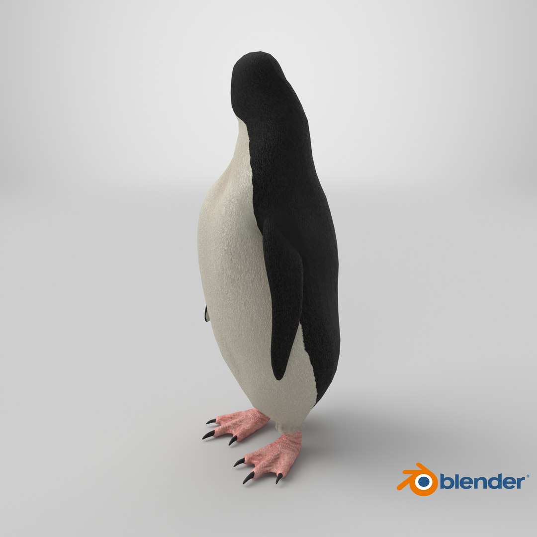 adelie penguin t-posed 3D model https://p.turbosquid.com/ts-thumb/qi/2vpH3n/mA/stemcell_blender_cycles_render/png/1727279592/1920x1080/fit_q87/350624707611ecb5d3dd78610b72507bc3167b88/stemcell_blender_cycles_render.jpg