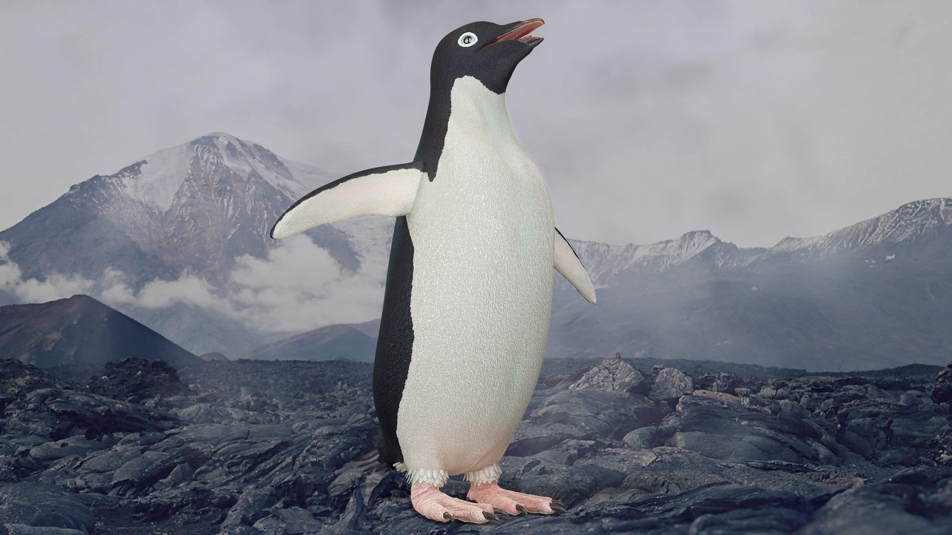 adelie penguin t-posed 3D model https://p.turbosquid.com/ts-thumb/qi/2vpH3n/mDAbdrdo/main2/png/1591119679/1920x1080/fit_q87/401de917334ba2576bee5ce2f83d75afe28d7808/main2.jpg