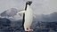 Adelie Penguin T-Pose