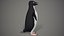 Adelie Penguin T-Pose