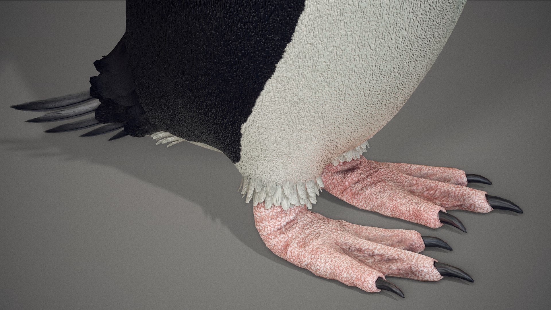adelie penguin t-posed 3D model https://p.turbosquid.com/ts-thumb/qi/2vpH3n/rMa7rrko/screenshot018/png/1591119713/1920x1080/fit_q87/6b43b378b0799f86b51ce7c4b5d9dda6e437e3de/screenshot018.jpg