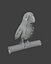 Animated Cartoon Animals 3D Models Pack 5