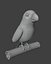 Animated Cartoon Animals 3D Models Pack 5