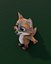 Animated Cartoon Animals 3D Models Pack 5