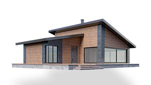 house model