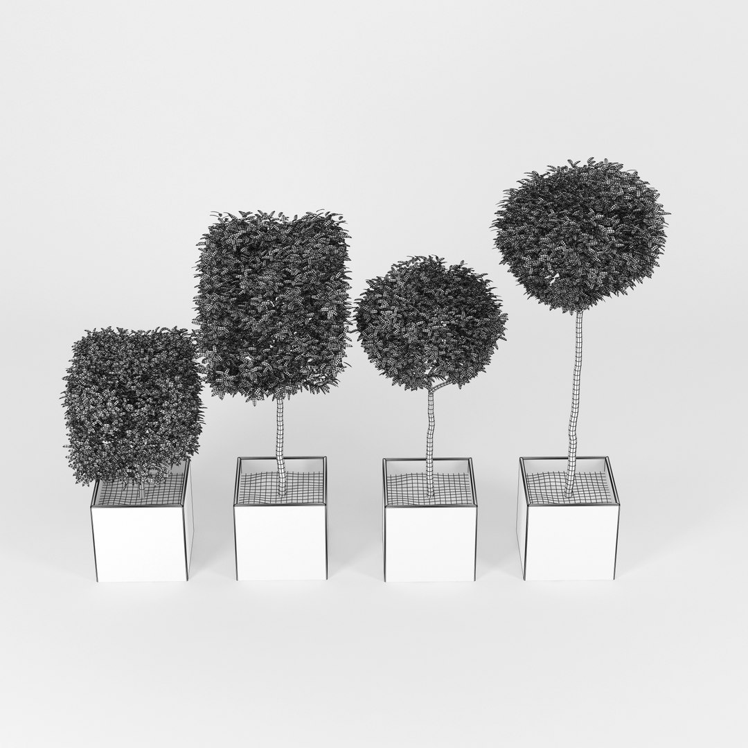 3D plant box - TurboSquid 1266671