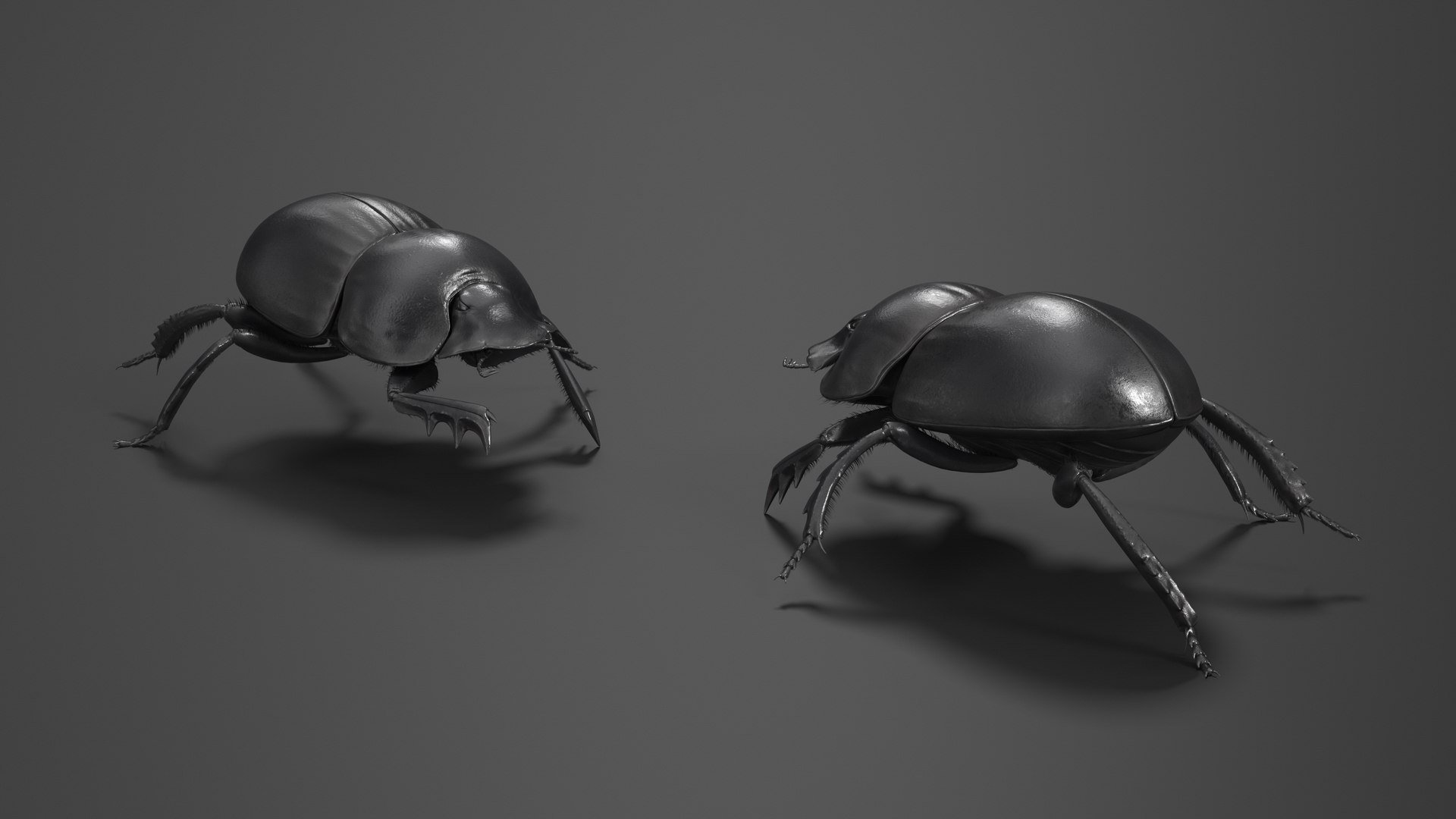 Soil Beetle Crawling Fur model https://p.turbosquid.com/ts-thumb/qi/I7bMSf/GZ/soil_beetle_crawling_fur_004/jpg/1729500013/1920x1080/fit_q87/d868d8b2a024b37a342e0d41023f69c27e9798ee/soil_beetle_crawling_fur_004.jpg